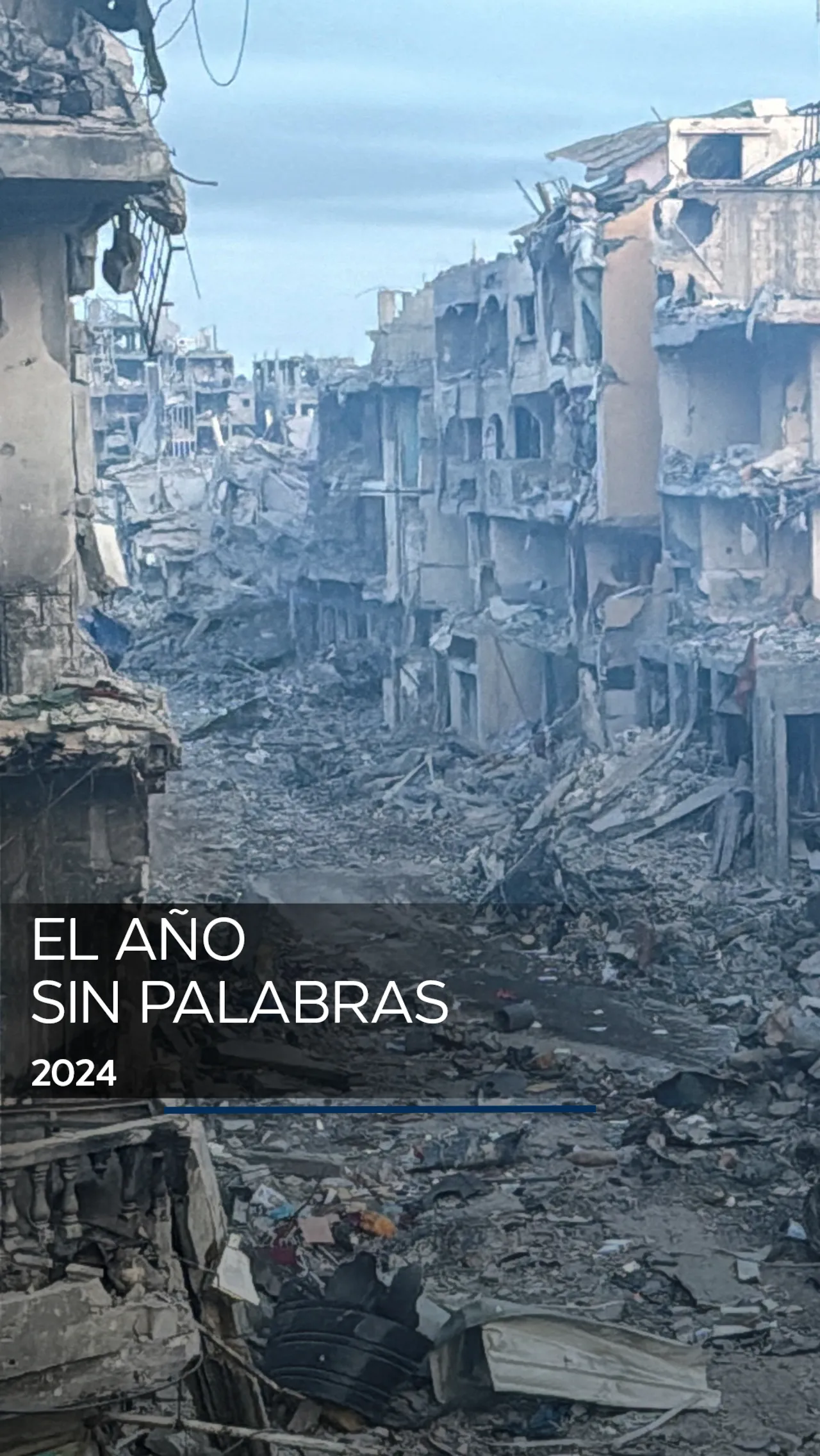 El año sin palabras